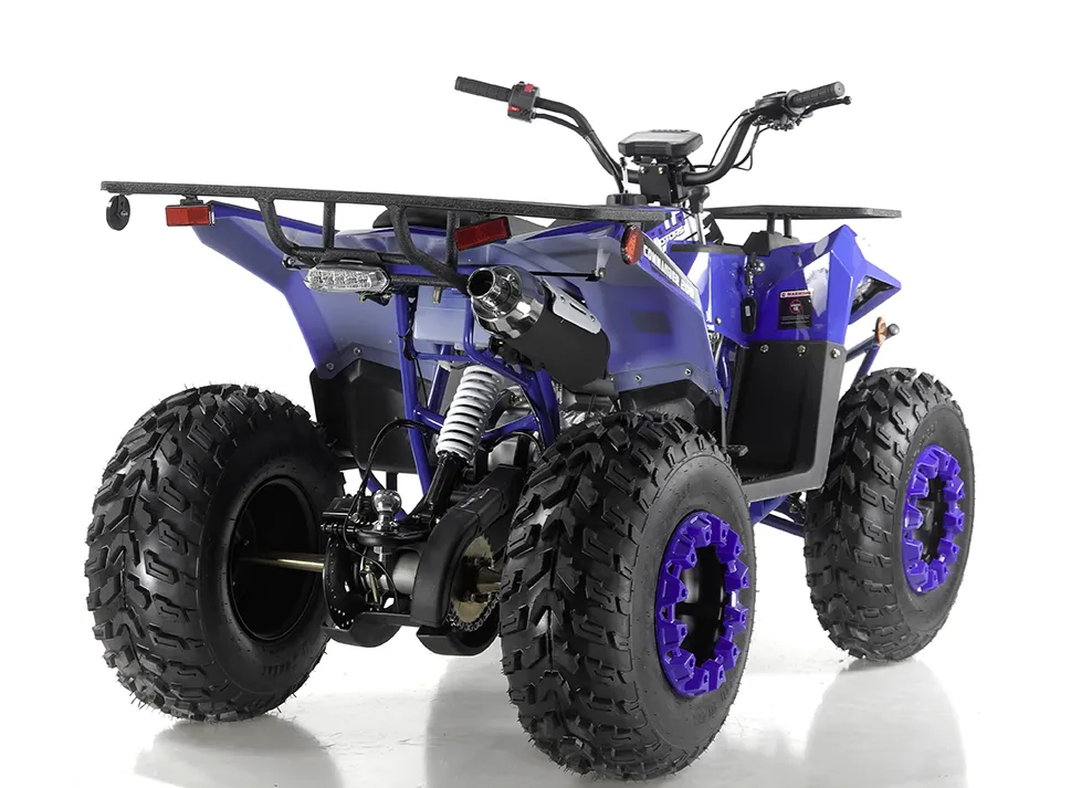 Apollo Commander 200,174cc Fully, Automatic with Reverse, Coil Over Shocks, Dual racks, CA Legal