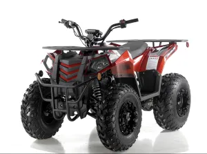 Apollo Commander 200,174cc Fully, Automatic with Reverse, Coil Over Shocks, Dual racks, CA Legal