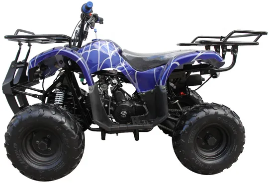 Coolster 3125R Mid-Size Deluxe Utility Youth Quad - 120cc, Automatic with Reverse, Electric Start, Ages 12 and Up