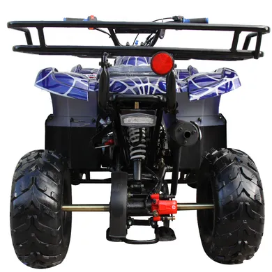 Coolster 3125R Mid-Size Deluxe Utility Youth Quad - 120cc, Automatic with Reverse, Electric Start, Ages 12 and Up