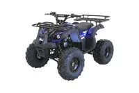 RPS Bull 125 8'' Youth ATV, 125cc, Automatic with Reverse, 8-Inch Wheels, Electric Start