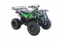 RPS Bull 125 8'' Youth ATV, 125cc, Automatic with Reverse, 8-Inch Wheels, Electric Start