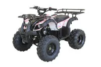 RPS Bull 125 8'' Youth ATV, 125cc, Automatic with Reverse, 8-Inch Wheels, Electric Start