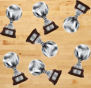 Sports Fabric, Basketball Fabric, Trophy Fabric, Cotton or Fleece 1684