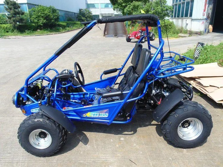 Trailmaster 300XRSE EFI Ultra Buggy Go Kart Largest Engine, Fuel Injected Motor, Over Sized disc brakes, Water Cooled