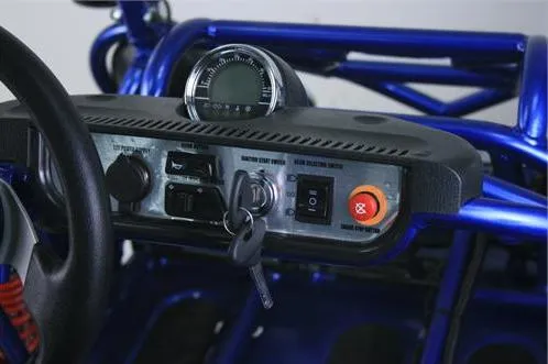 Trailmaster 300XRSE EFI Ultra Buggy Go Kart Largest Engine, Fuel Injected Motor, Over Sized disc brakes, Water Cooled
