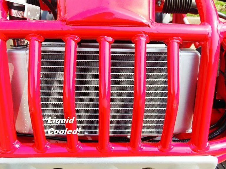 Trailmaster 300XRSE EFI Ultra Buggy Go Kart Largest Engine, Fuel Injected Motor, Over Sized disc brakes, Water Cooled