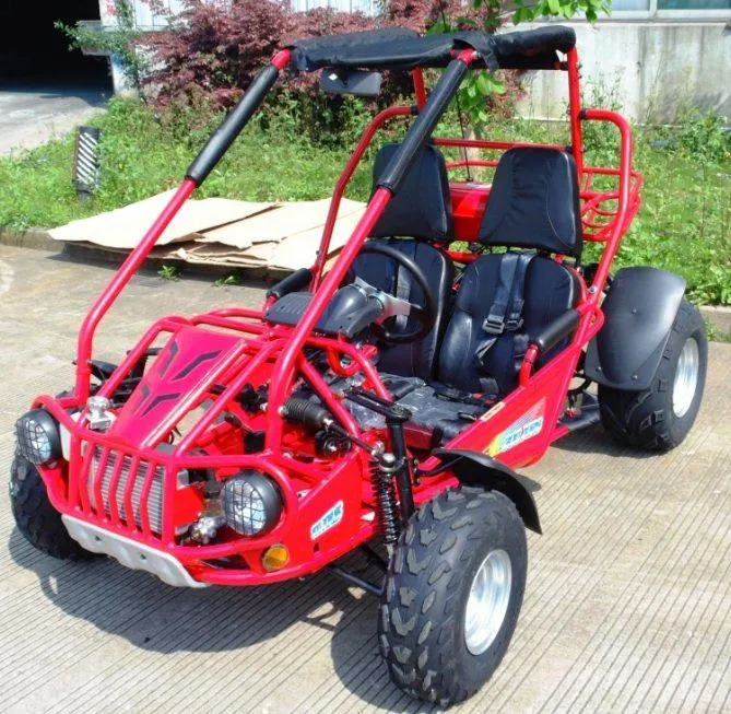 Trailmaster 300XRSE EFI Ultra Buggy Go Kart Largest Engine, Fuel Injected Motor, Over Sized disc brakes, Water Cooled