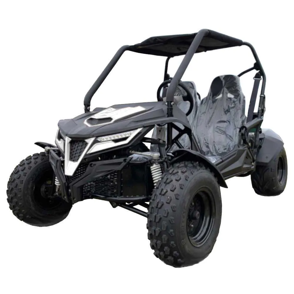 Trailmaster Cheetah 200 Go kart  ,Upgraded rear end, high back seats, Full Welded Roll Cage