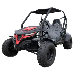 Trailmaster Cheetah 200 Go kart  ,Upgraded rear end, high back seats, Full Welded Roll Cage