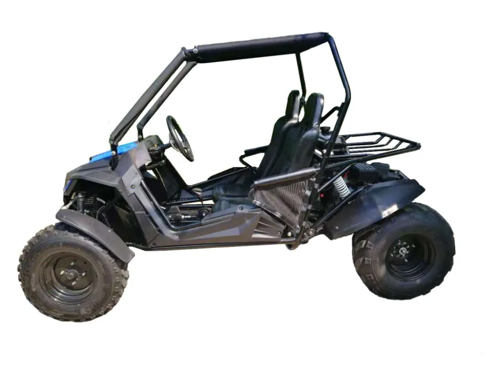 Trailmaster Cheetah 200 Go kart  ,Upgraded rear end, high back seats, Full Welded Roll Cage