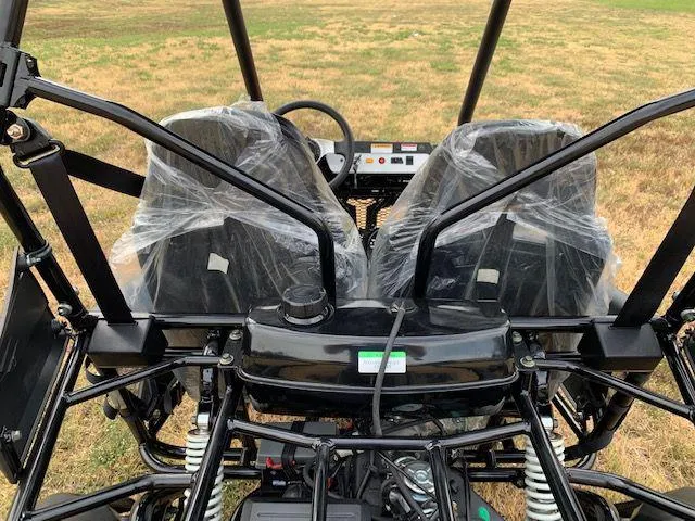 Trailmaster Cheetah 200 Go kart  ,Upgraded rear end, high back seats, Full Welded Roll Cage