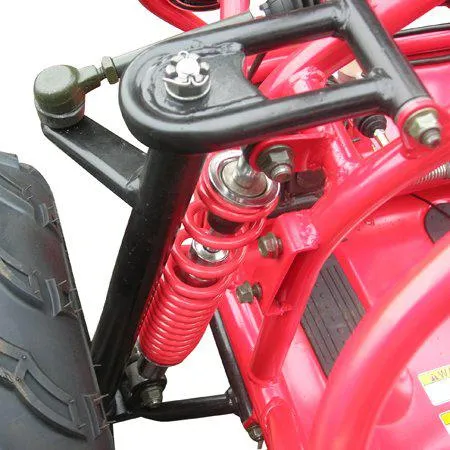 TRAILMASTER Mid XRX Youth Go Kart Buggy for ages 10 and up. Speed Control over the shoulder  seat belts